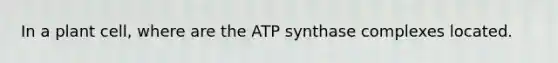 In a plant cell, where are the ATP synthase complexes located.