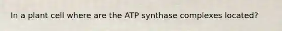 In a plant cell where are the ATP synthase complexes located?