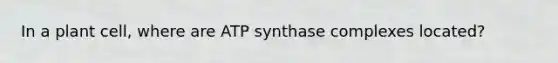 In a plant cell, where are ATP synthase complexes located?