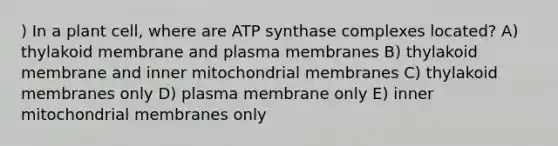 ) In a plant cell, where are ATP synthase complexes located? A) thylakoid membrane and plasma membranes B) thylakoid membrane and inner mitochondrial membranes C) thylakoid membranes only D) plasma membrane only E) inner mitochondrial membranes only