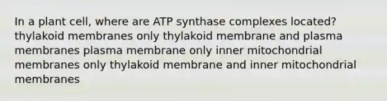 In a plant cell, where are ATP synthase complexes located? thylakoid membranes only thylakoid membrane and plasma membranes plasma membrane only inner mitochondrial membranes only thylakoid membrane and inner mitochondrial membranes