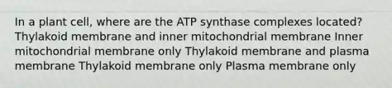 In a plant cell, where are the ATP synthase complexes located? Thylakoid membrane and inner mitochondrial membrane Inner mitochondrial membrane only Thylakoid membrane and plasma membrane Thylakoid membrane only Plasma membrane only