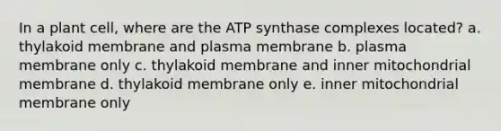 In a plant cell, where are the ATP synthase complexes located? a. thylakoid membrane and plasma membrane b. plasma membrane only c. thylakoid membrane and inner mitochondrial membrane d. thylakoid membrane only e. inner mitochondrial membrane only