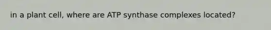 in a plant cell, where are ATP synthase complexes located?