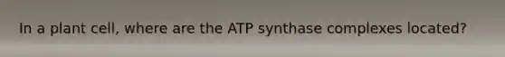 In a plant cell, where are the ATP synthase complexes located?