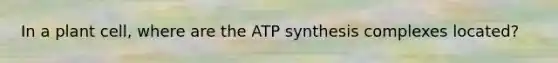 In a plant cell, where are the <a href='https://www.questionai.com/knowledge/kx3XpCJrFz-atp-synthesis' class='anchor-knowledge'>atp synthesis</a> complexes located?