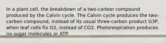 In a plant cell, the breakdown of a two-carbon compound produced by the Calvin cycle. The Calvin cycle produces the two-carbon compound, instead of its usual three-carbon product G3P, when leaf cells fix O2, instead of CO2. Photorespiration produces no sugar molecules or ATP.