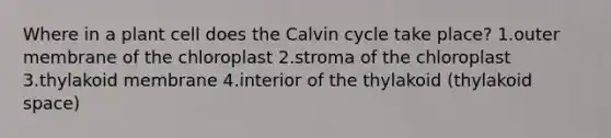 Where in a plant cell does the Calvin cycle take place? 1.outer membrane of the chloroplast 2.stroma of the chloroplast 3.thylakoid membrane 4.interior of the thylakoid (thylakoid space)