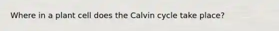 Where in a plant cell does the Calvin cycle take place?