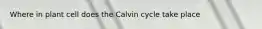 Where in plant cell does the Calvin cycle take place