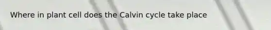 Where in plant cell does the Calvin cycle take place