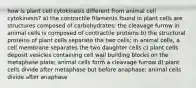 how is plant cell cytokinesis different from animal cell cytokinesis? a) the contractile filaments found in plant cells are structures composed of carbohydrates; the cleavage furrow in animal cells is composed of contractile proteins b) the structural proteins of plant cells separate the two cells; in animal cells, a cell membrane separates the two daughter cells c) plant cells deposit vesicles containing cell wall building blocks on the metaphase plate; animal cells form a cleavage furrow d) plant cells divide after metaphase but before anaphase; animal cells divide after anaphase