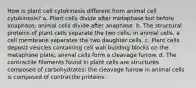 How is plant cell cytokinesis different from animal cell cytokinesis? a. Plant cells divide after metaphase but before anaphase; animal cells divide after anaphase. b. The structural proteins of plant cells separate the two cells; in animal cells, a cell membrane separates the two daughter cells. c. Plant cells deposit vesicles containing cell wall building blocks on the metaphase plate; animal cells form a cleavage furrow. d. The contractile filaments found in plant cells are structures composed of carbohydrates; the cleavage furrow in animal cells is composed of contractile proteins.