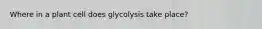 Where in a plant cell does glycolysis take place?