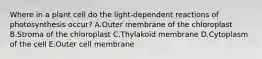 Where in a plant cell do the light-dependent reactions of photosynthesis occur? A.Outer membrane of the chloroplast B.Stroma of the chloroplast C.Thylakoid membrane D.Cytoplasm of the cell E.Outer cell membrane