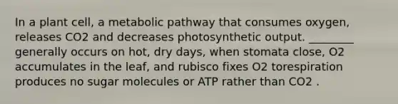 In a plant cell, a metabolic pathway that consumes oxygen, releases CO2 and decreases photosynthetic output. ________ generally occurs on hot, dry days, when stomata close, O2 accumulates in the leaf, and rubisco fixes O2 torespiration produces no sugar molecules or ATP rather than CO2 .