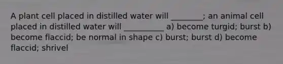 A plant cell placed in distilled water will ________; an animal cell placed in distilled water will __________ a) become turgid; burst b) become flaccid; be normal in shape c) burst; burst d) become flaccid; shrivel