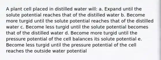 A plant cell placed in distilled water will: a. Expand until the solute potential reaches that of the distilled water b. Become more turgid until the solute potential reaches that of the distilled water c. Become less turgid until the solute potential becomes that of the distilled water d. Become more turgid until the pressure potential of the cell balances its solute potential e. Become less turgid until the pressure potential of the cell reaches the outside water potential