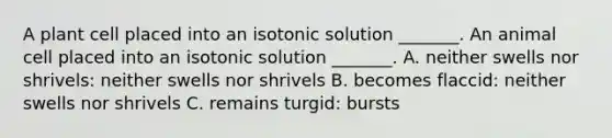 A plant cell placed into an isotonic solution _______. An animal cell placed into an isotonic solution _______. A. neither swells nor shrivels: neither swells nor shrivels B. becomes flaccid: neither swells nor shrivels C. remains turgid: bursts