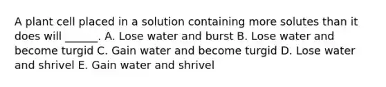 A plant cell placed in a solution containing more solutes than it does will ______. A. Lose water and burst B. Lose water and become turgid C. Gain water and become turgid D. Lose water and shrivel E. Gain water and shrivel