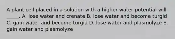 A plant cell placed in a solution with a higher water potential will _____. A. lose water and crenate B. lose water and become turgid C. gain water and become turgid D. lose water and plasmolyze E. gain water and plasmolyze