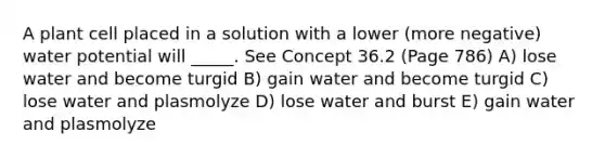 A plant cell placed in a solution with a lower (more negative) water potential will _____. See Concept 36.2 (Page 786) A) lose water and become turgid B) gain water and become turgid C) lose water and plasmolyze D) lose water and burst E) gain water and plasmolyze