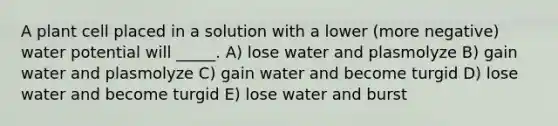 A plant cell placed in a solution with a lower (more negative) water potential will _____. A) lose water and plasmolyze B) gain water and plasmolyze C) gain water and become turgid D) lose water and become turgid E) lose water and burst