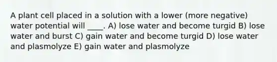 A plant cell placed in a solution with a lower (more negative) water potential will ____. A) lose water and become turgid B) lose water and burst C) gain water and become turgid D) lose water and plasmolyze E) gain water and plasmolyze