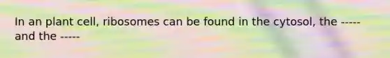 In an plant cell, ribosomes can be found in the cytosol, the ----- and the -----