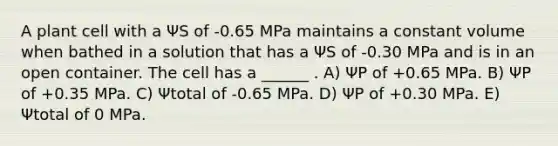 A plant cell with a ΨS of -0.65 MPa maintains a constant volume when bathed in a solution that has a ΨS of -0.30 MPa and is in an open container. The cell has a ______ . A) ΨP of +0.65 MPa. B) ΨP of +0.35 MPa. C) Ψtotal of -0.65 MPa. D) ΨP of +0.30 MPa. E) Ψtotal of 0 MPa.