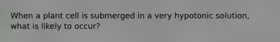When a plant cell is submerged in a very hypotonic solution, what is likely to occur?