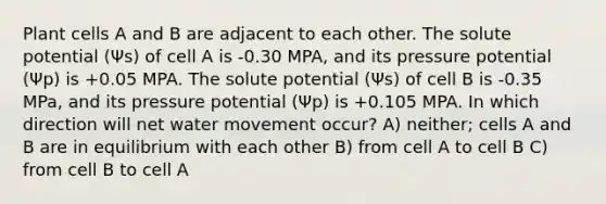 Plant cells A and B are adjacent to each other. The solute potential (Ψs) of cell A is -0.30 MPA, and its pressure potential (Ψp) is +0.05 MPA. The solute potential (Ψs) of cell B is -0.35 MPa, and its pressure potential (Ψp) is +0.105 MPA. In which direction will net water movement occur? A) neither; cells A and B are in equilibrium with each other B) from cell A to cell B C) from cell B to cell A