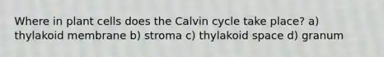 Where in plant cells does the Calvin cycle take place? a) thylakoid membrane b) stroma c) thylakoid space d) granum