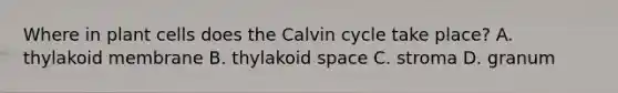 Where in plant cells does the Calvin cycle take place? A. thylakoid membrane B. thylakoid space C. stroma D. granum