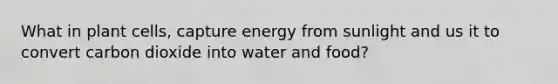 What in plant cells, capture energy from sunlight and us it to convert carbon dioxide into water and food?