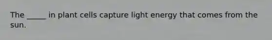 The _____ in plant cells capture light energy that comes from the sun.