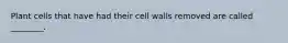 Plant cells that have had their cell walls removed are called ________.