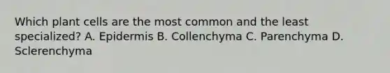 Which plant cells are the most common and the least specialized? A. Epidermis B. Collenchyma C. Parenchyma D. Sclerenchyma