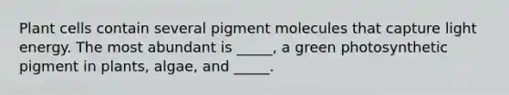 Plant cells contain several pigment molecules that capture light energy. The most abundant is _____, a green photosynthetic pigment in plants, algae, and _____.