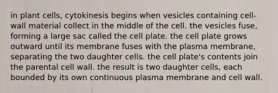 in plant cells, cytokinesis begins when vesicles containing cell-wall material collect in the middle of the cell. the vesicles fuse, forming a large sac called the cell plate. the cell plate grows outward until its membrane fuses with the plasma membrane, separating the two daughter cells. the cell plate's contents join the parental cell wall. the result is two daughter cells, each bounded by its own continuous plasma membrane and cell wall.