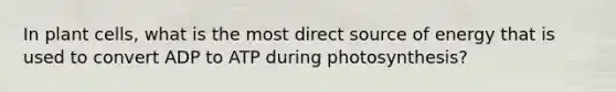 In plant cells, what is the most direct source of energy that is used to convert ADP to ATP during photosynthesis?