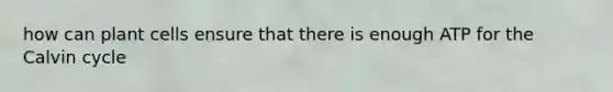 how can plant cells ensure that there is enough ATP for the Calvin cycle