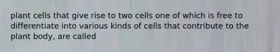 plant cells that give rise to two cells one of which is free to differentiate into various kinds of cells that contribute to the plant body, are called