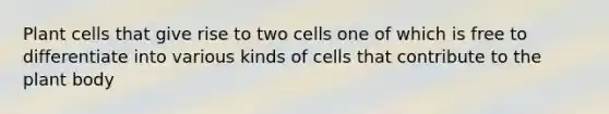 Plant cells that give rise to two cells one of which is free to differentiate into various kinds of cells that contribute to the plant body