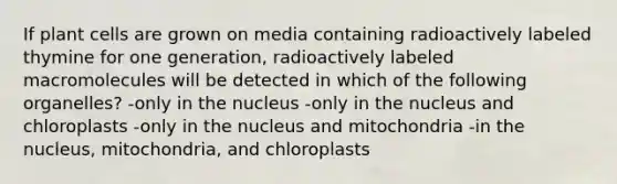 If plant cells are grown on media containing radioactively labeled thymine for one generation, radioactively labeled macromolecules will be detected in which of the following organelles? -only in the nucleus -only in the nucleus and chloroplasts -only in the nucleus and mitochondria -in the nucleus, mitochondria, and chloroplasts