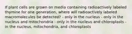 If plant cells are grown on media containing radioactively labeled thymine for one generation, where will radioactively labeled macromolecules be detected? - only in the nucleus - only in the nucleus and mitochondria - only in the nucleus and chloroplasts - in the nucleus, mitochondria, and chloroplasts