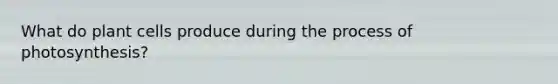 What do plant cells produce during the process of photosynthesis?