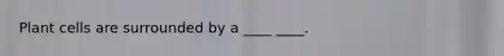 Plant cells are surrounded by a ____ ____.