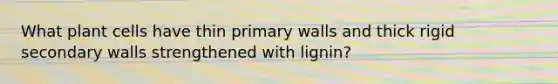 What plant cells have thin primary walls and thick rigid secondary walls strengthened with lignin?