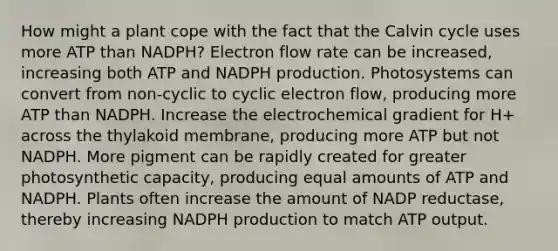 How might a plant cope with the fact that the Calvin cycle uses more ATP than NADPH? Electron flow rate can be increased, increasing both ATP and NADPH production. Photosystems can convert from non-cyclic to cyclic electron flow, producing more ATP than NADPH. Increase the electrochemical gradient for H+ across the thylakoid membrane, producing more ATP but not NADPH. More pigment can be rapidly created for greater photosynthetic capacity, producing equal amounts of ATP and NADPH. Plants often increase the amount of NADP reductase, thereby increasing NADPH production to match ATP output.